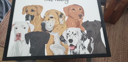 Customer photo review of Custom Framed Family Portrait