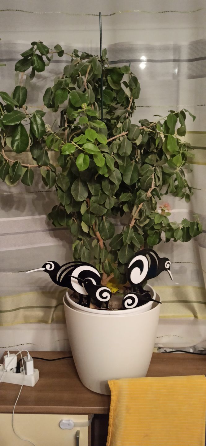 Customer photo review of Set of Aluminium Kiwi Bird Garden Ornaments