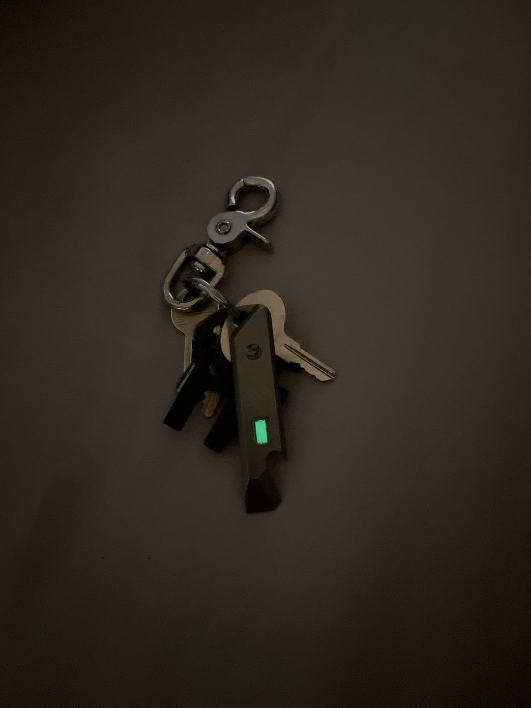 Customer photo review of Tritium Pry Bar