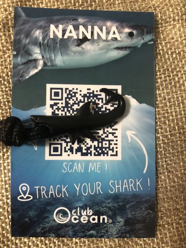 Customer photo review of "Shark" tracking bracelet