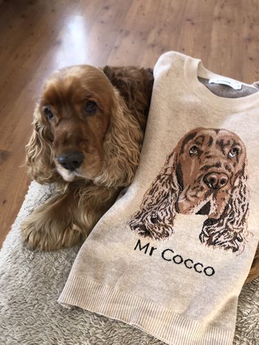 Customer photo review of Full-Body Pet Custom Sweater