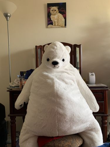 Customer photo review of SKOGGY BEAR