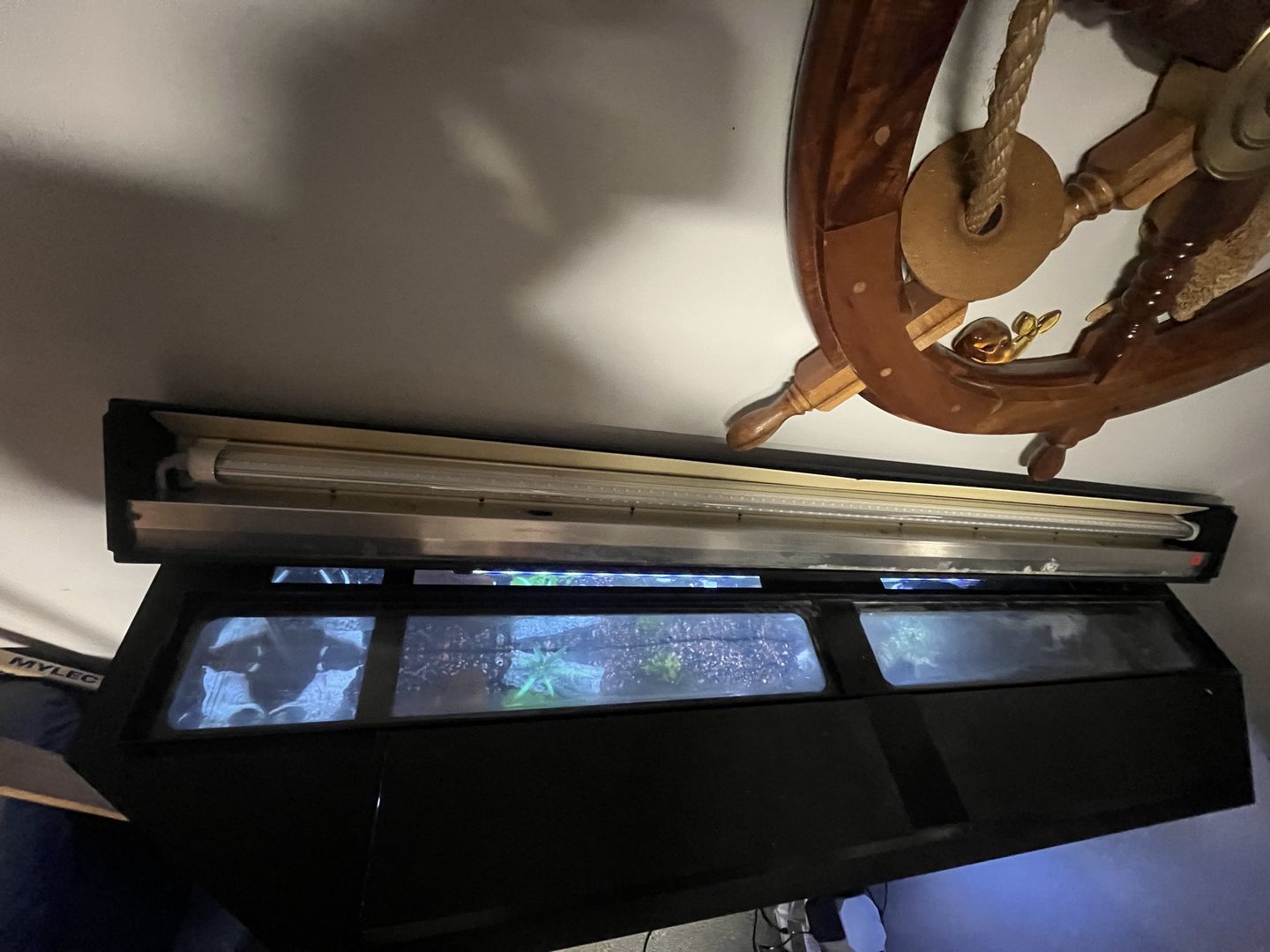 Customer photo review of T8 4ft V Shape LED Tube Light 30W Integrated 6500k Clear, 4 Foot LED Shop Lights, 3900 Lumens