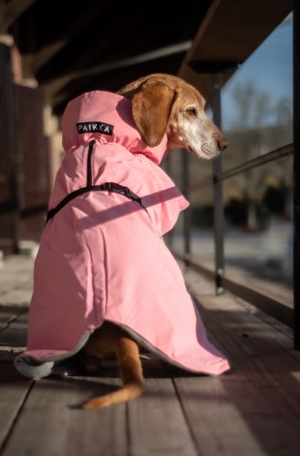 Customer photo review of Visibility Winter Jacket Pink for Dogs