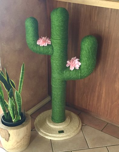 Customer photo review of Vetreska Modern Cat Scratching Post