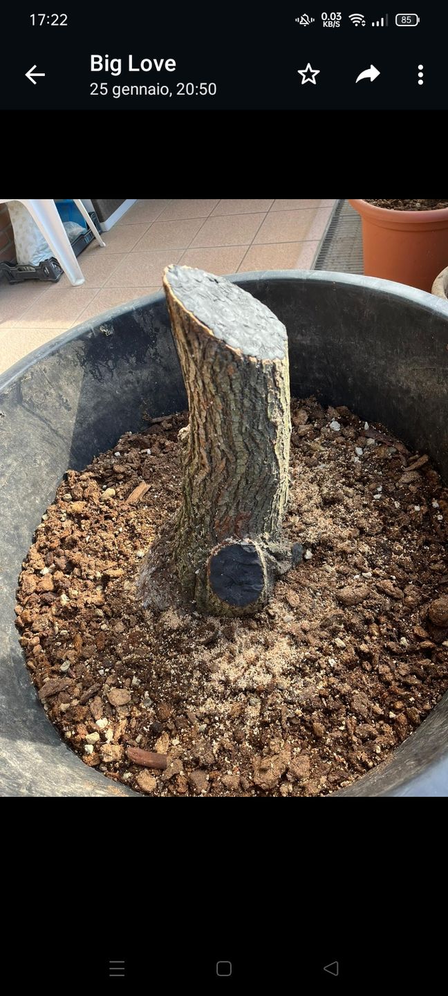 Customer photo review of BLOCK PRO 3.0 CB® EVOLUZIONE FINALE 400 gr