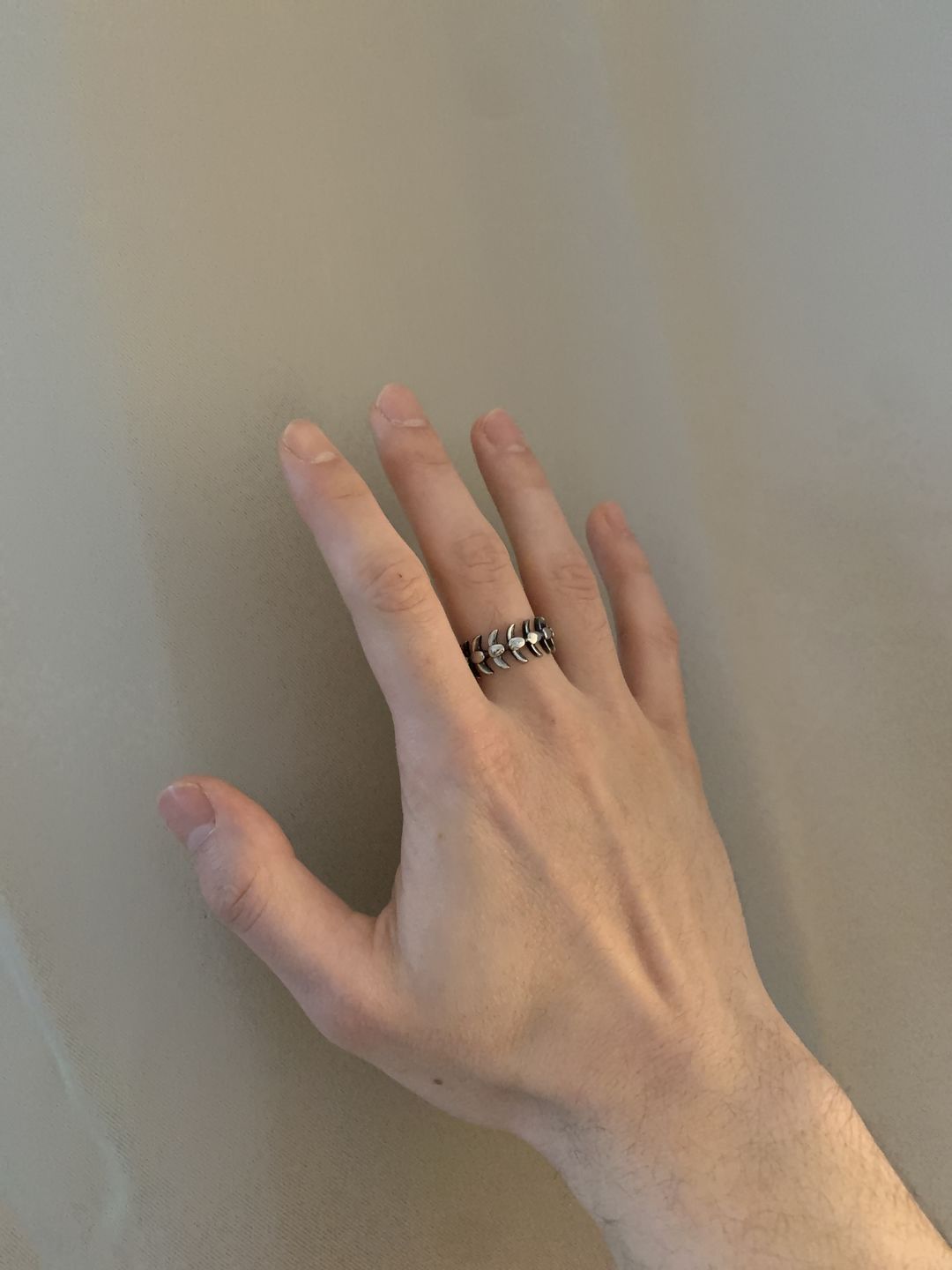 Customer photo review of STEEL SPINE.