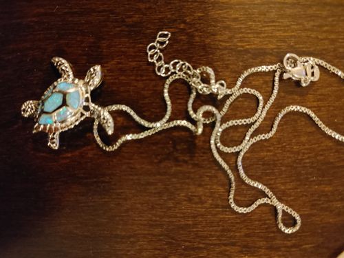 Customer photo review of Save a Turtle Necklace