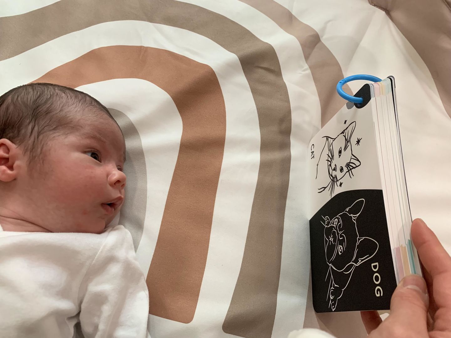 Customer photo review of Curious Baby™ Activity Cards
