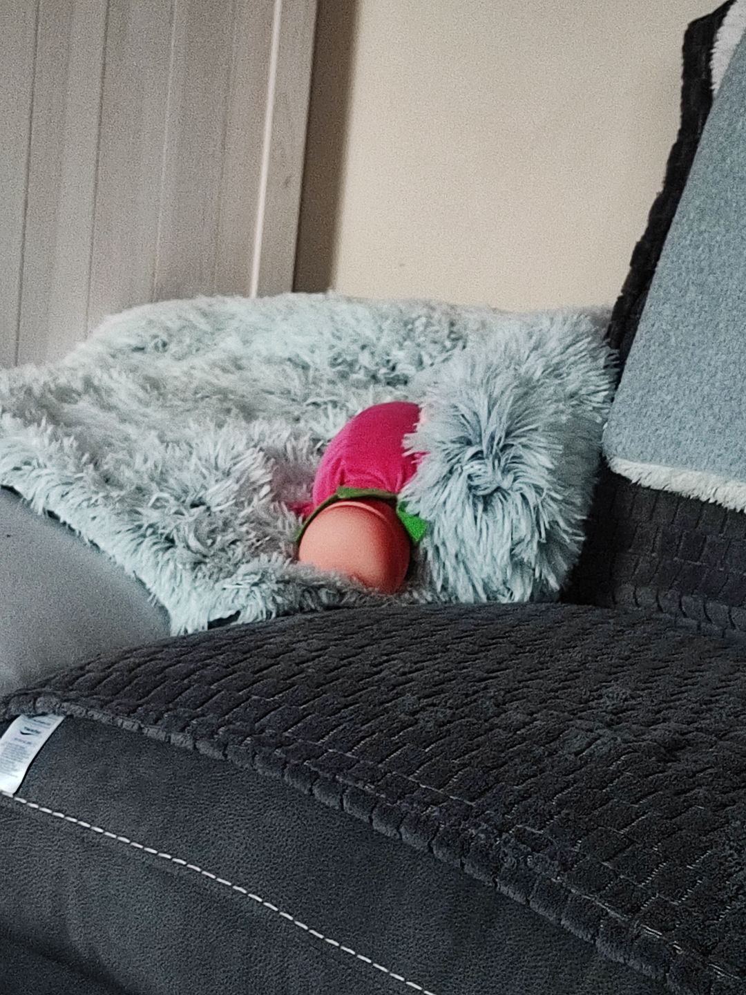 Customer photo review of Coussin Protecteur & Ultra Confortable PuppySafe