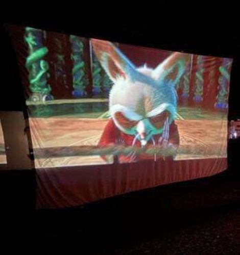 Customer photo review of Mini Beamer