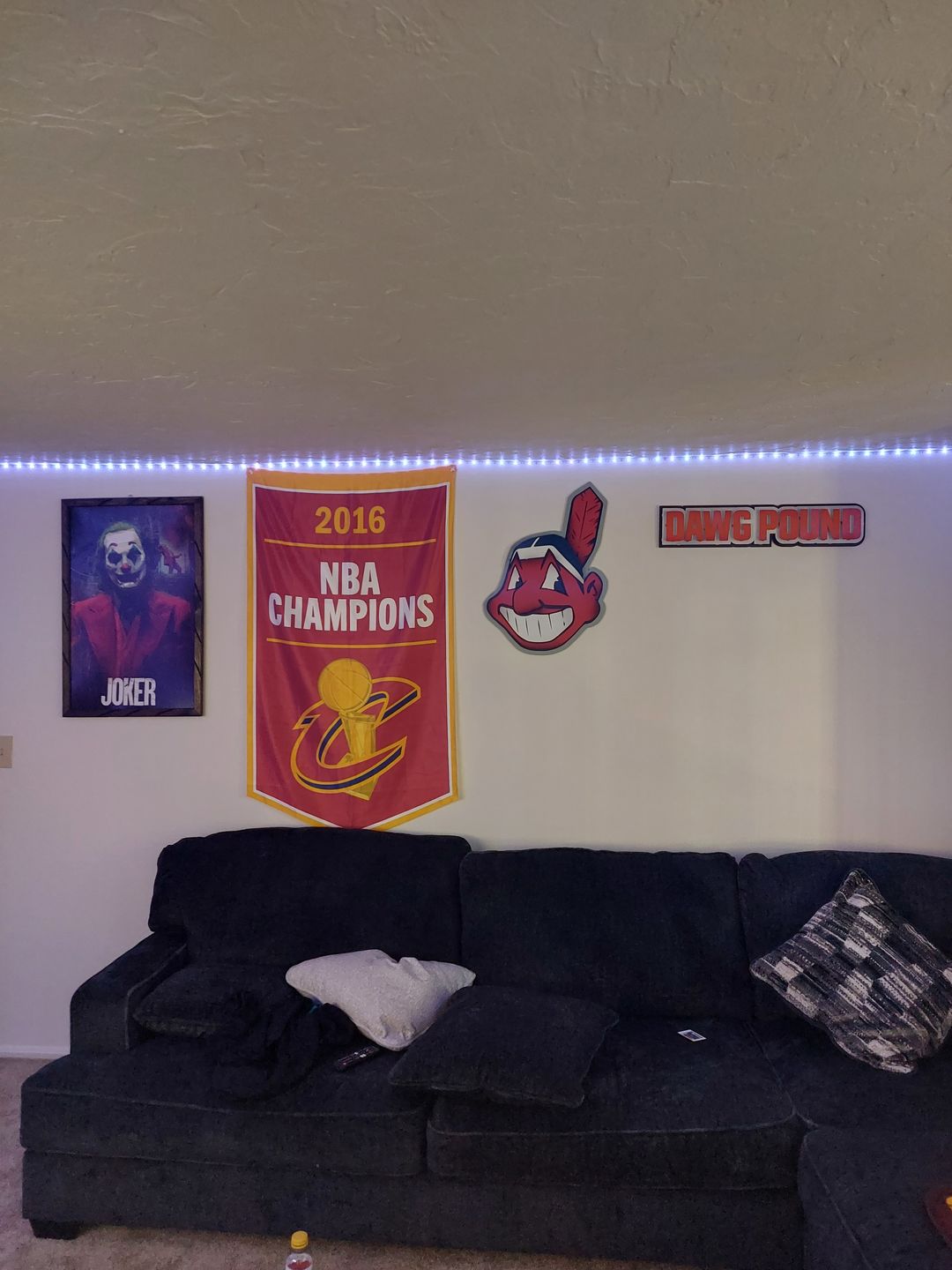 Customer photo review of Cleveland Browns "DAWG POUND" 3D Vintage Metal Wall Art