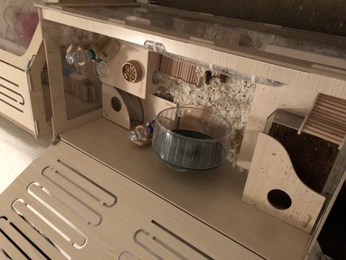 Customer photo review of Niteangel Small Animal Sand-Bath Box - Acrylic Critter's Sand Bath Shower Room & Digging Sand Container for Hamsters Mice Lemming Gerbils or Other Small Pets