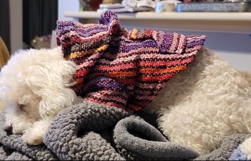 Customer photo review of Playa Poncho