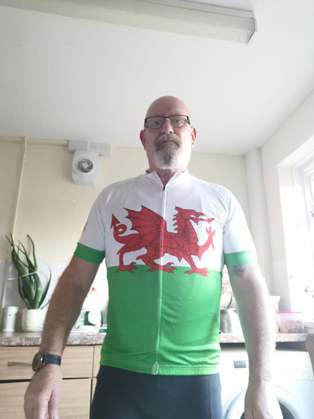 Customer photo review of Wales Flag Cycling Jersey (Green, White & Red)