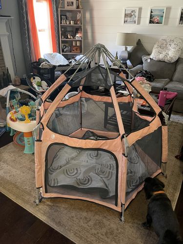 Customer photo review of Spring Pink Pop N' Go®