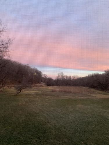 Customer photo review of Vanilla Whey Protein Isolate