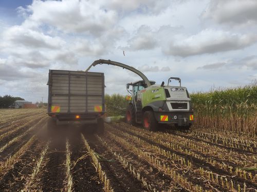 Customer photo review of 120 Capsule Box; pick a mix of blends