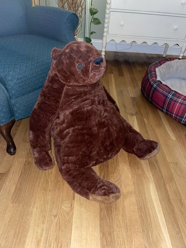 Customer photo review of SKOGGY BEAR