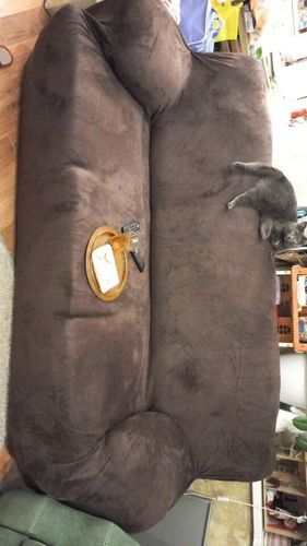 Customer photo review of Cabrexa Velvet Sofa Slipcovers
