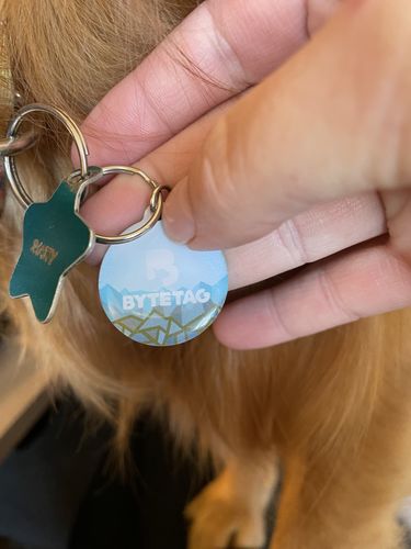 Customer photo review of Explorer