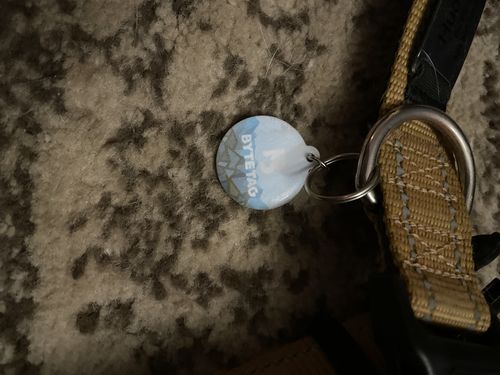 Customer photo review of Explorer