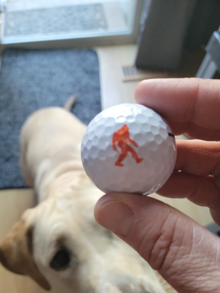Customer photo review of Sasquatch