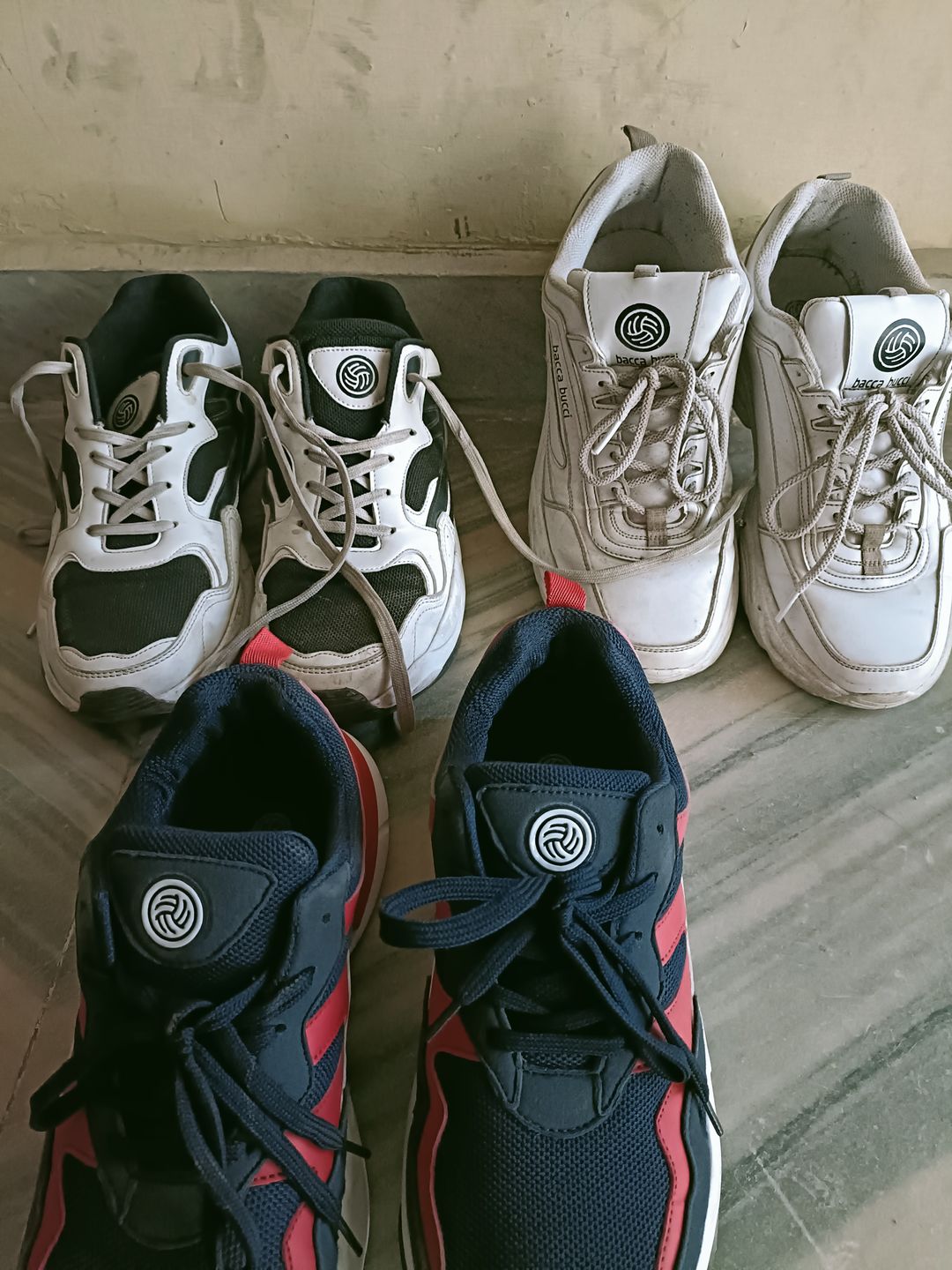 Customer photo review of Bacca Bucci Majesty
