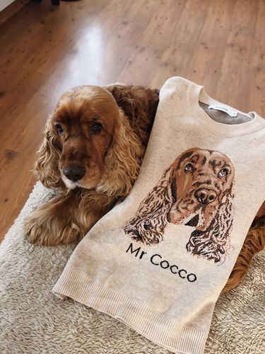 Customer photo review of Portrait Only Pet Custom Sweater