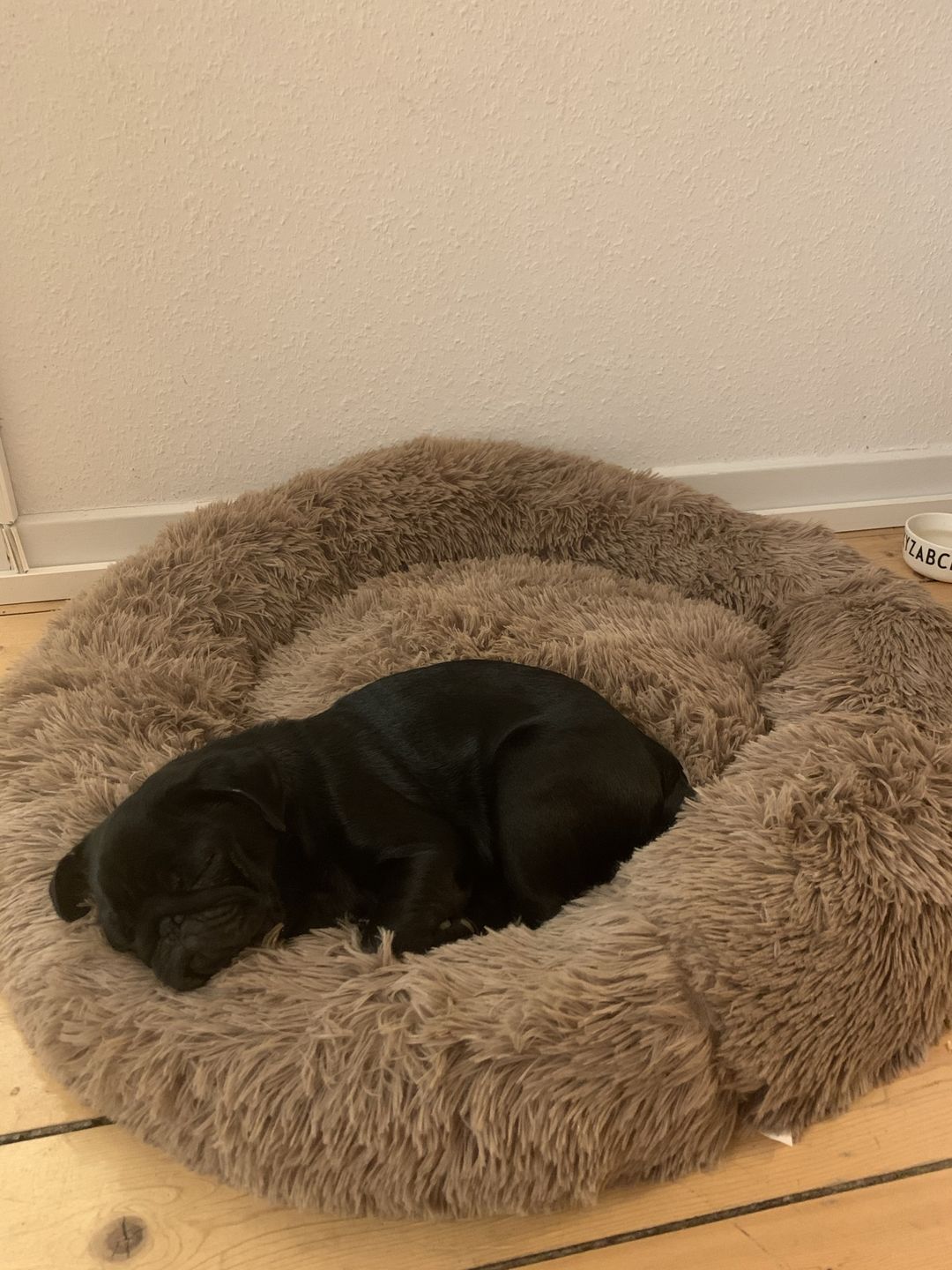 Customer photo review of THE ORIGINAL - Donut hundeseng (brun)