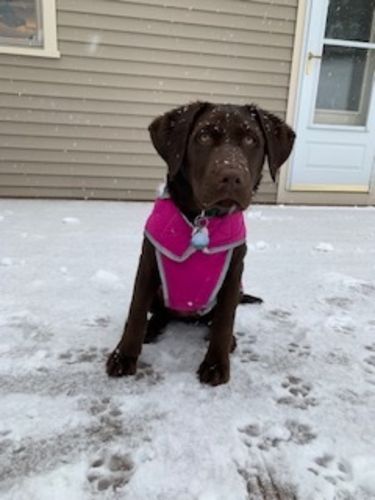 Customer photo review of Explorer