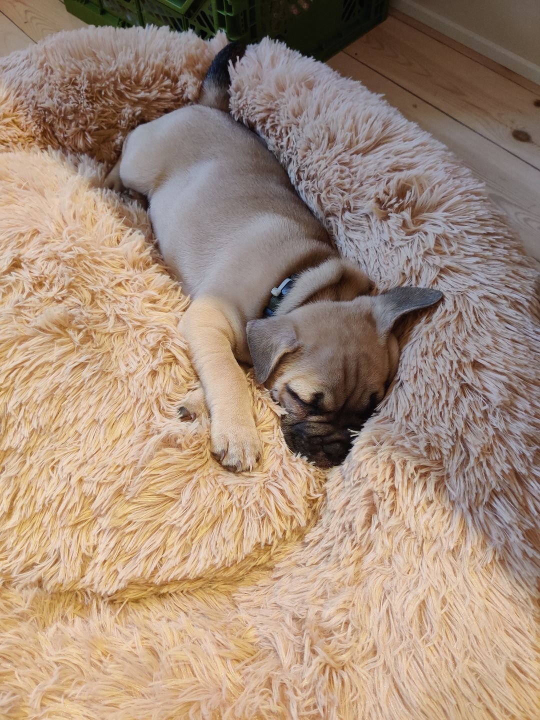 Customer photo review of THE ORIGINAL - Donut hundeseng (beige)
