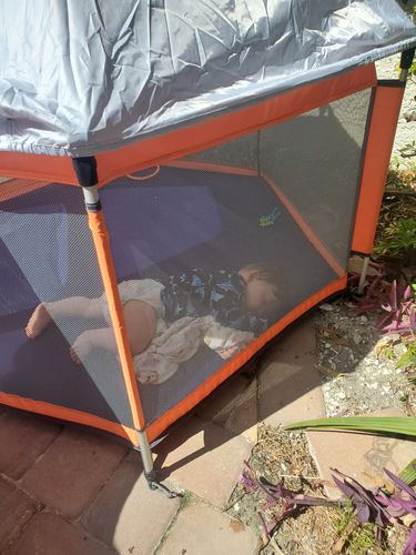 Customer photo review of Sunset Orange Pop N' Go®