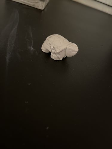 Customer photo review of Mini Crystal Turtles