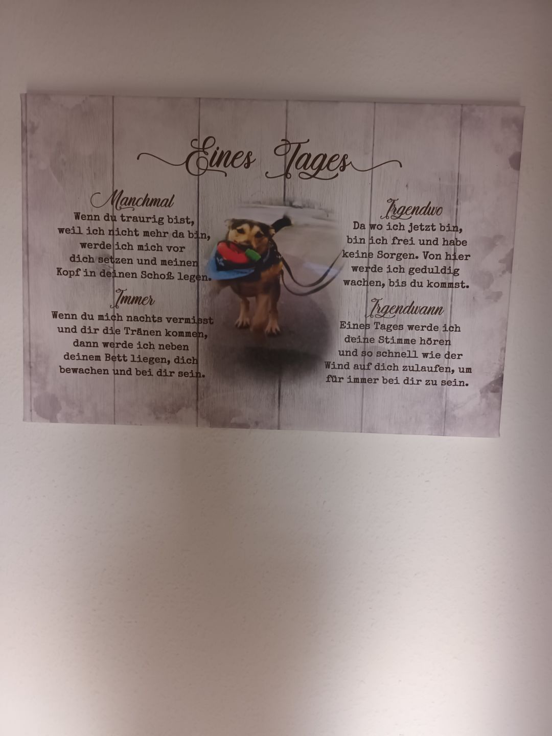 Customer photo review of Eines Tages - Individuelle Leinwand