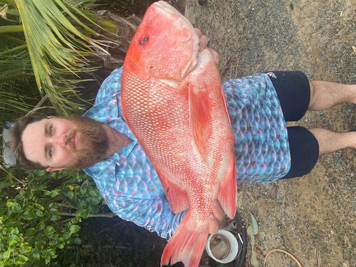 Customer photo review of The Standard Squeeze (Original)