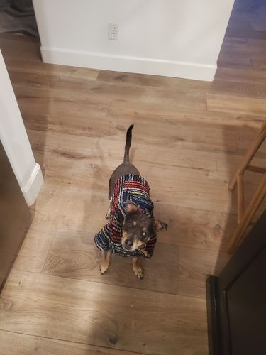 Customer photo review of Playa Poncho