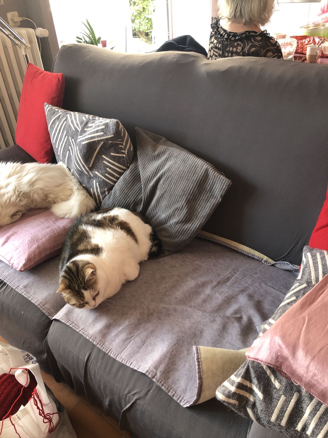 Customer photo review of Gris anthracite - Housses Extensibles de Fauteuil et Canapé