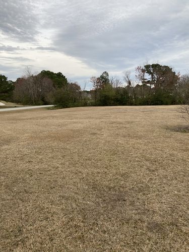 Customer photo review of Flowzone Monsoon 2.5