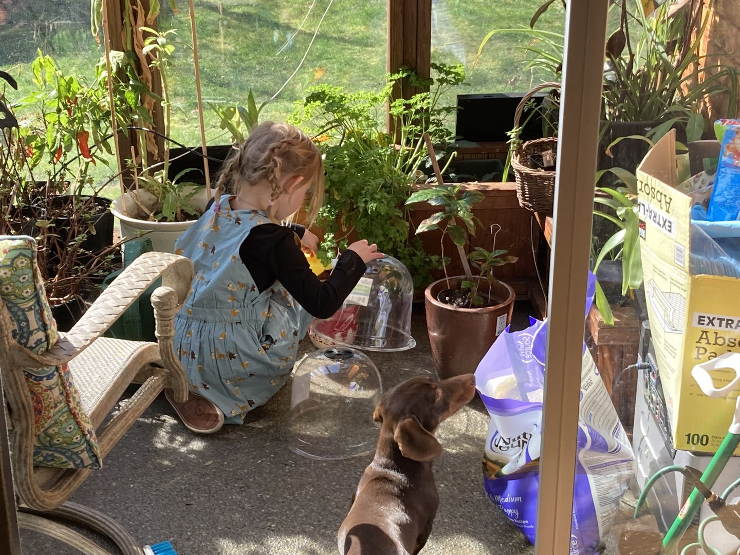 Customer photo review of Under The Sun Pinafore Dress