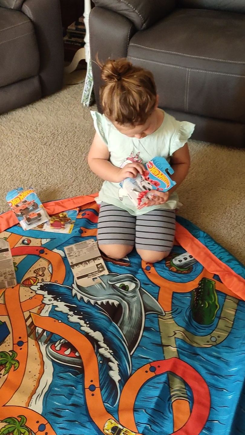Customer photo review of Hot Wheels® Play Pouch