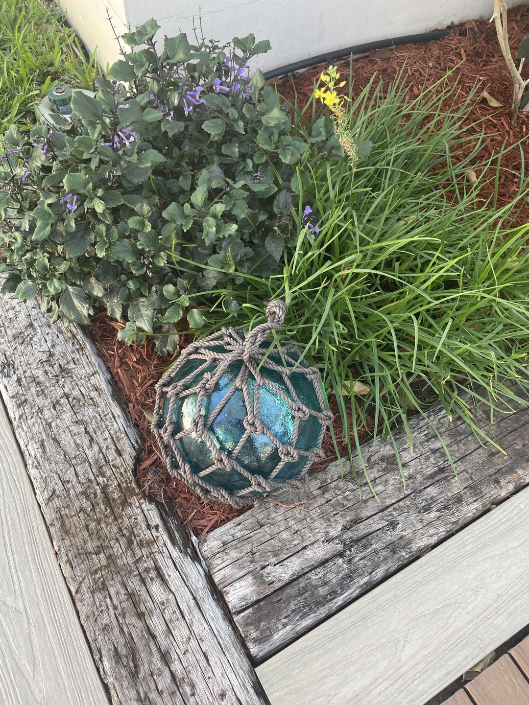Customer photo review of Glass Floats - Authentic Seaglass Floats
