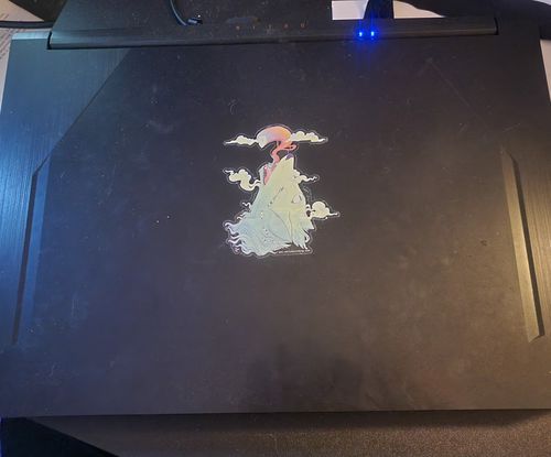 Customer photo review of Wolf And Ghost, Clear Sticker