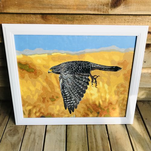 Customer photo review of The New Zealand Falcon