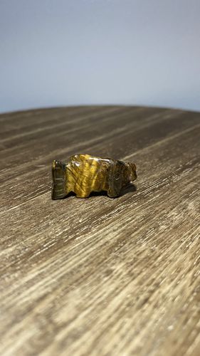 Customer photo review of Mini Tigers Eye Fish