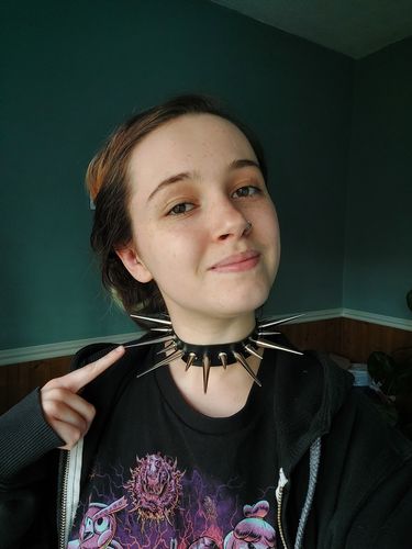 Customer photo review of Mega Spikey Baby Collar