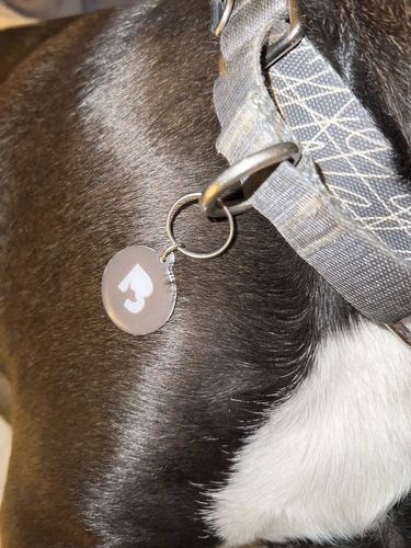 Customer photo review of Black