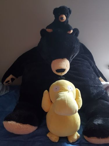 Customer photo review of SKOGGY BEAR