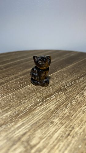 Customer photo review of Tigers Eye Mini Cat