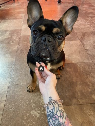 Customer photo review of Black